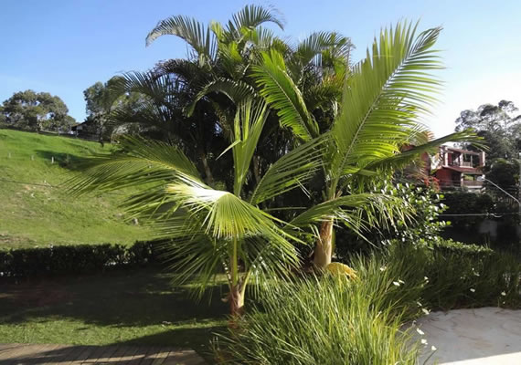 Galeria Clínica Geriátrica Premier